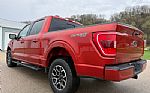 2023 F-150 Thumbnail 8