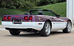 1995 Corvette Thumbnail 15