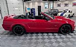 2006 Mustang Thumbnail 12