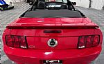 2006 Mustang Thumbnail 16