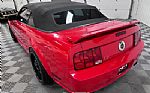 2006 Mustang Thumbnail 19