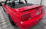2006 Mustang Thumbnail 18