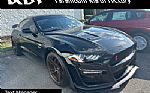 2019 Mustang Thumbnail 1