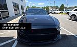 2019 Mustang Thumbnail 4