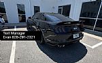 2019 Mustang Thumbnail 8