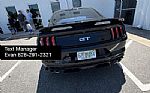 2019 Mustang Thumbnail 9