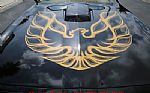 1978 Trans Am Thumbnail 75