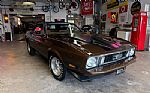 1973 Mustang Thumbnail 7