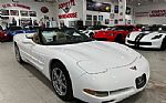 2004 Corvette Thumbnail 19