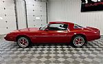 1981 Firebird Thumbnail 2