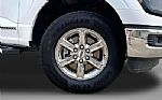 2025 F-150 Thumbnail 9
