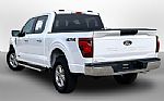 2025 F-150 Thumbnail 10