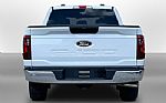 2025 F-150 Thumbnail 4