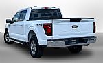 2025 F-150 Thumbnail 10