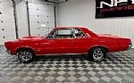 1965 GTO Thumbnail 2