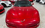 1999 Corvette Thumbnail 9