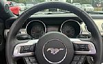 2015 Mustang GT Premium Thumbnail 22