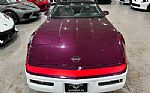 1995 Corvette Thumbnail 28