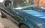 1979 Firebird Trans Am Thumbnail 12