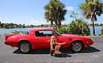 1980 Trans Am Thumbnail 4