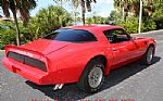 1980 Trans Am Thumbnail 13