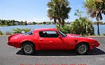 1980 Trans Am Thumbnail 76