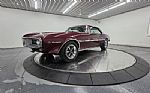 1967 Firebird Thumbnail 2