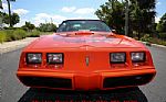 1980 Trans Am Thumbnail 10