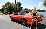 1980 Trans Am Thumbnail 12