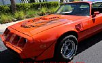 1980 Trans Am Thumbnail 14