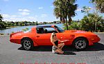 1980 Trans Am Thumbnail 16