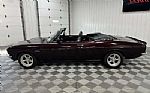 1965 Corvair Thumbnail 3