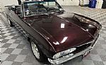 1965 Corvair Thumbnail 9