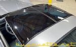 1981 Corvette Thumbnail 8