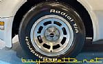 1981 Corvette Thumbnail 10