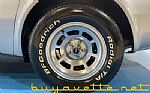 1981 Corvette Thumbnail 12