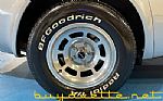 1981 Corvette Thumbnail 13