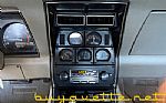 1981 Corvette Thumbnail 19