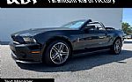 2010 Mustang Thumbnail 11