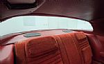 1978 Firebird Thumbnail 26