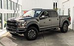2019 F-150 Thumbnail 2