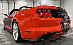 2015 Mustang Thumbnail 30