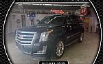 2020 Escalade Thumbnail 1