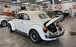 1979 Beetle Thumbnail 3