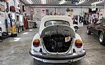 1979 Beetle Thumbnail 4