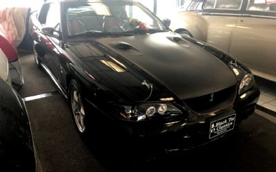 Photo of a 1998 Ford Sorry Just Sold!!! Mustang Cobra for sale