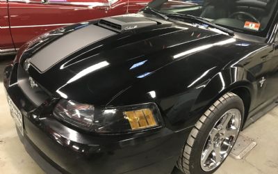Photo of a 2003 Mustang Sorry Just Sold!!! Cobra Jet Shaker Hood for sale