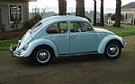 1966 Beetle Thumbnail 3