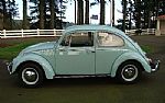 1966 Beetle Thumbnail 5