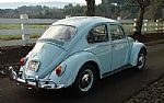 1966 Beetle Thumbnail 8